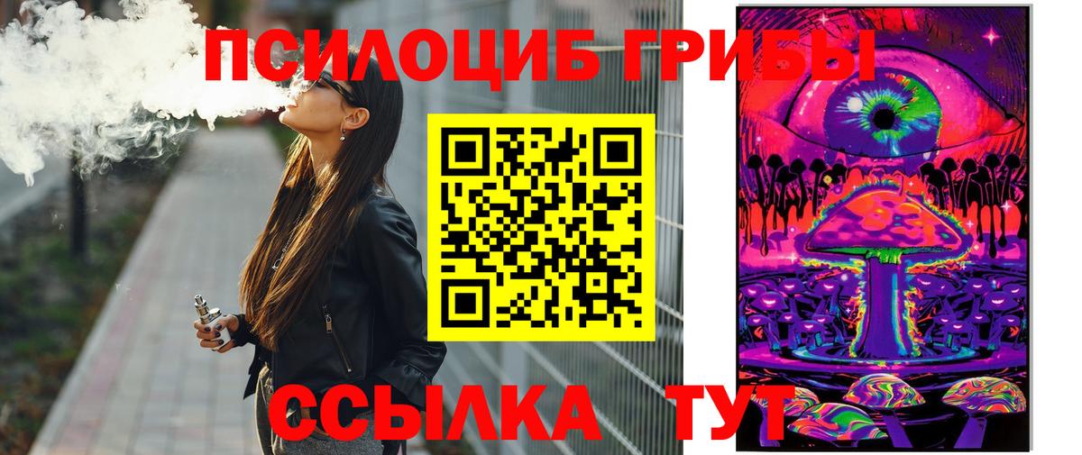 Галлюциногенные грибы Psilocybe Альметьевск